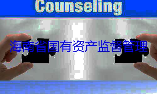 委副书记王海南省国有有福接受审资产监督管理委员会党查调查